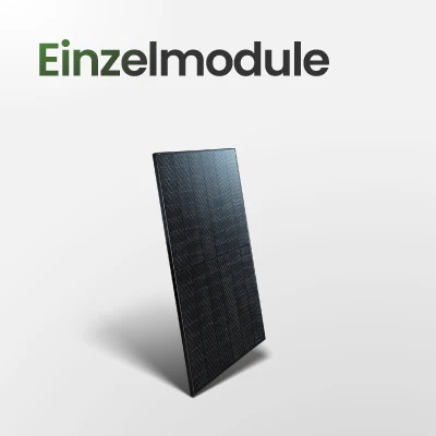 Einzelmodule